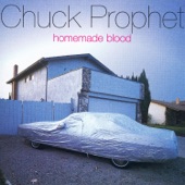 Chuck Prophet - Whole Lot More