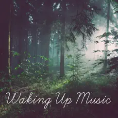 Waking Up Music by Various Artists album reviews, ratings, credits