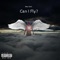 Can I Fly? - Neo Sohl lyrics