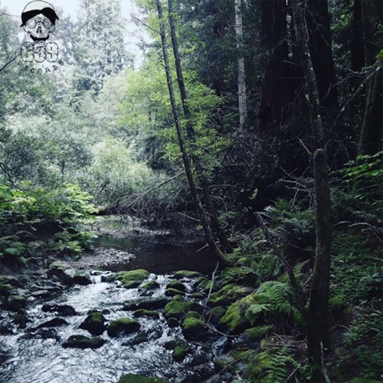 Cover artwork for The River Is Getting Colder