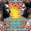 Stream & download Shaneh - Single