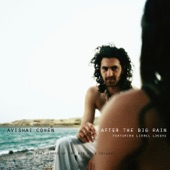 After the Big Rain (Epilogue) artwork