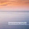 Entspannungsmusik - Beruhigungsmusik zum Entspannen zum Yoga, Meeresrauschen mit Ruhige Zen Lieder für Inneren Frieden album lyrics, reviews, download