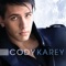 I Believe I Can Fly - Cody Karey lyrics