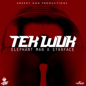 Elephant Man Jook Gal Mp3 Download