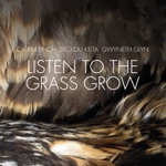 Catrin Finch, Seckou Keita & Gwyneth Glyn - Listen to the Grass Grow