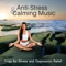 Yin Yoga Practice - Anti Stress Music Zone lyrics
