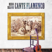 Medio Siglo de Cante Flamenco - Various Artists