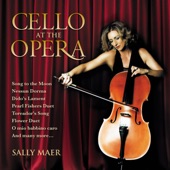 Cello At The Opera artwork