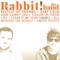 Color in Your Life - Rabbit! lyrics