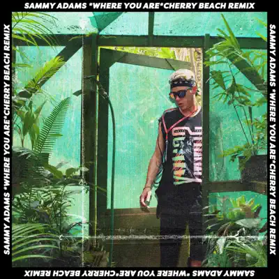 Where You Are (Remix) - Single - Sammy Adams