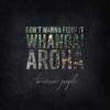 Don't Wanna Fight It (Whangai Aroha) - Single