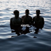 Havel artwork
