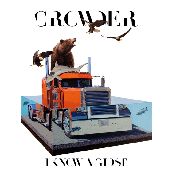 Cover artwork for Wildfire