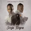 Stream & download Oveja Negra (feat. GaVriel) - Single