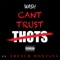 Can't Trust Thots (feat. French Montana) artwork
