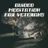 Guided Meditation for Veterans: Healing Frequencies for All Disease, Sleep Hypnosis for Soldiers with PTSD album lyrics, reviews, download