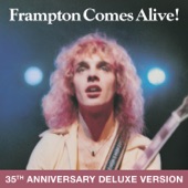 Peter Frampton - Lines On My Face