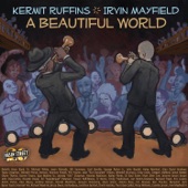 Beautiful World (For Imani) [feat. Haley Reinhart] artwork