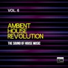 Ambient House Revolution, Vol. 6 (The Sound of House Music)
