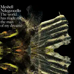 The World Has Made Me the Man of My Dreams (Deluxe Digipak Version) - Meshell Ndegeocello