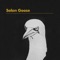 Solan Goose (Radio Edit) - Erland Cooper lyrics