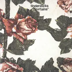 Curtains - Tindersticks