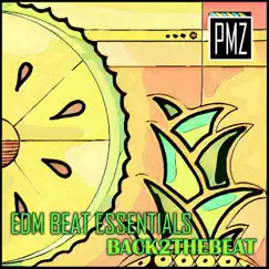 EDM Beat Essentials: Back 2 the Beat by PMZ album reviews, ratings, credits
