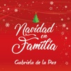 Navidad en Familia