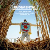 These Days (feat. Jess Glynne, Macklemore & Dan Caplen) [Rudimental VIP] artwork