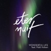 Wonderful Life (feat. Matt Hoben) - Single