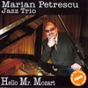 Marian Petrescu Jazz Trio - Symphony Nr. 3 in F Op90