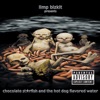 Limp Bizkit - Take a look around