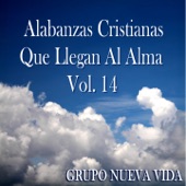 Alabanzas Cristianas Que Llegan al Alma, Vol. 14 artwork