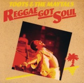 Toots & the Maytals - True Love Is Hard To Find