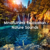 Mindfulness Relaxation Nature Sounds artwork