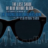 The Original Blues Brothers Band - The Last Shade of Blue Before Black