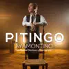 Ayamontino "Sevillanas mestizas y fronterizas" - Single album lyrics, reviews, download