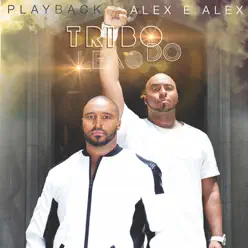 Tribo do Leão (Playback) - Alex e Alex