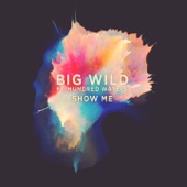 Show Me (feat. Hundred Waters) by Big Wild