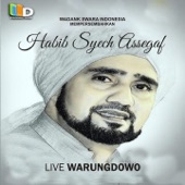 Habib Syeh artwork