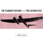 The Teardrop Explodes - Better Scream / Make That Move