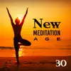 New Meditation Age: 30 Oasis of Zen Relaxation, Deep Mindfulness Training album lyrics, reviews, download