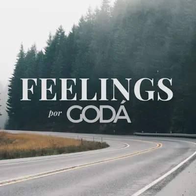 Feelings - Single - Renato Godá