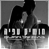 בתים של אמונים artwork