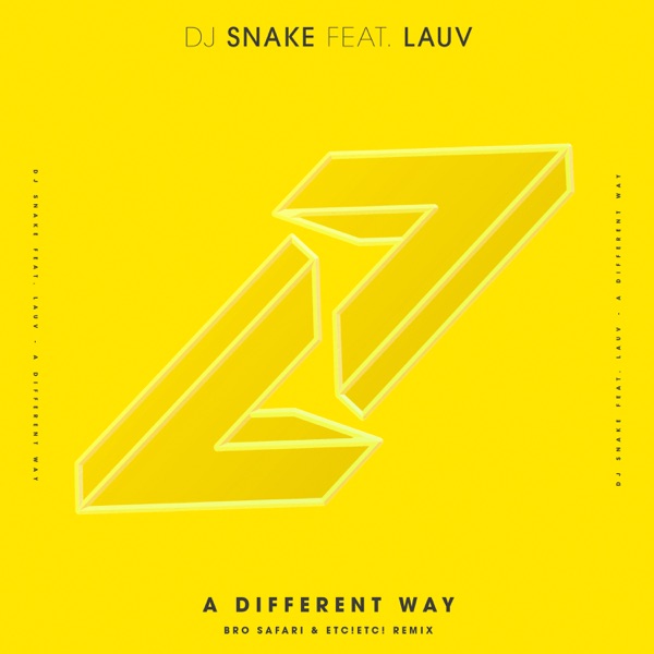 A Different Way (feat. Lauv) [Bro Safari & ETC!ETC! Remix] - Single - DJ Snake