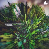 Synaptic Elastic - EP artwork