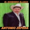 Botellita De Jerez - Antonio Zepeda lyrics