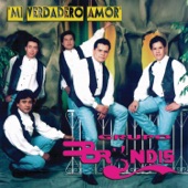 Mi Verdadero Amor artwork