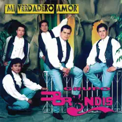 Mi Verdadero Amor - Grupo Bryndis